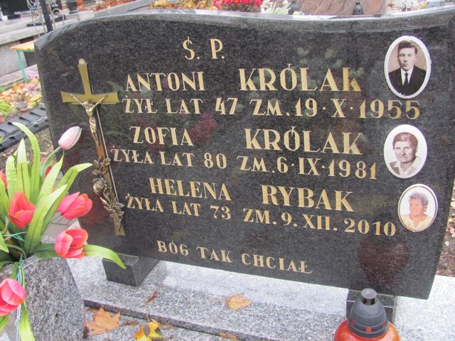 Antoni Królak 1908 Rawa Mazowiecka - Grobonet - Wyszukiwarka osób pochowanych