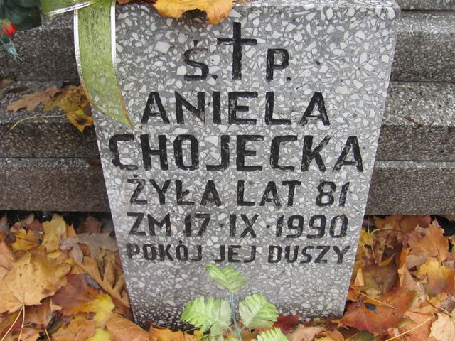 Aniela Chojecka 1909 Rawa Mazowiecka - Grobonet - Wyszukiwarka osób pochowanych