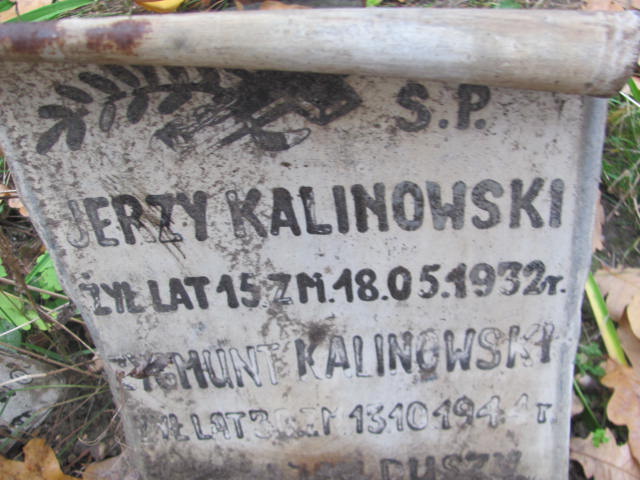 Jerzy Kalinowski Rawa Mazowiecka - Grobonet - Wyszukiwarka osób pochowanych