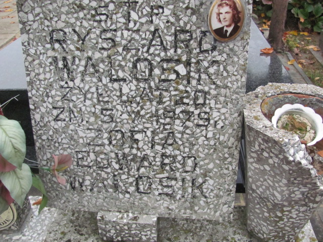Edward Marian Walosik 1954 Rawa Mazowiecka - Grobonet - Wyszukiwarka osób pochowanych