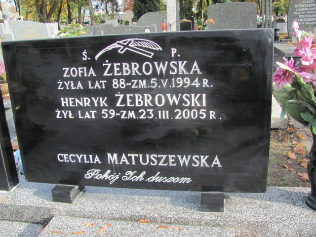 Henryk Żebrowski 1946 Rawa Mazowiecka - Grobonet - Wyszukiwarka osób pochowanych